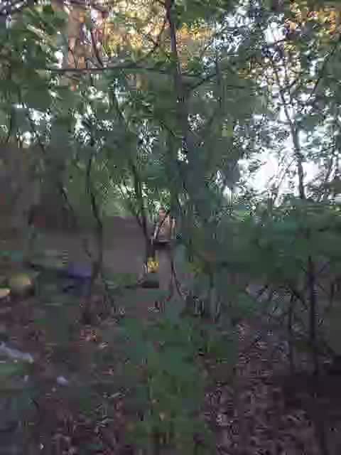 LipsiAE Adult Chat August 18, 2025