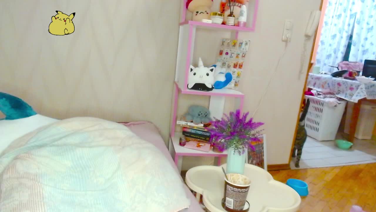 pikach00 Adult Chat August 18, 2025