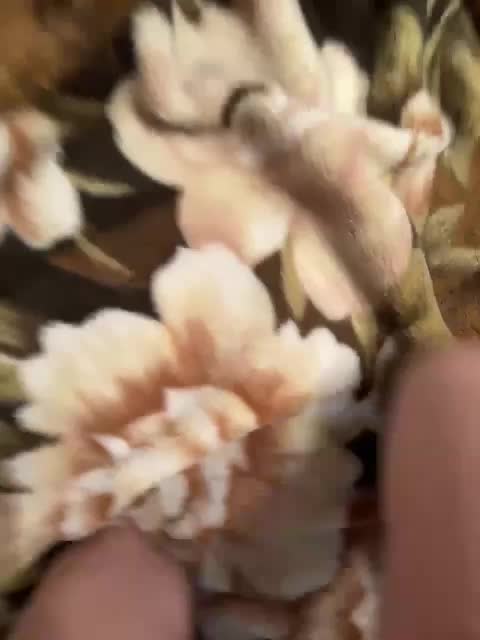 Aleksaa-11 Adult Chat August 18, 2025