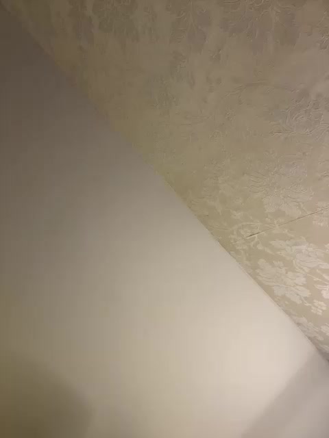 -MaybeBaby- Adult Chat August 18, 2025