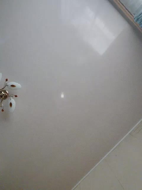 Lesik3500 Adult Chat August 19, 2025