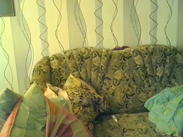 Anjelikus Adult Chat August 19, 2025