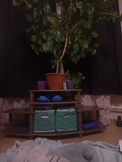 Ymmixxx Adult Chat August 19, 2025