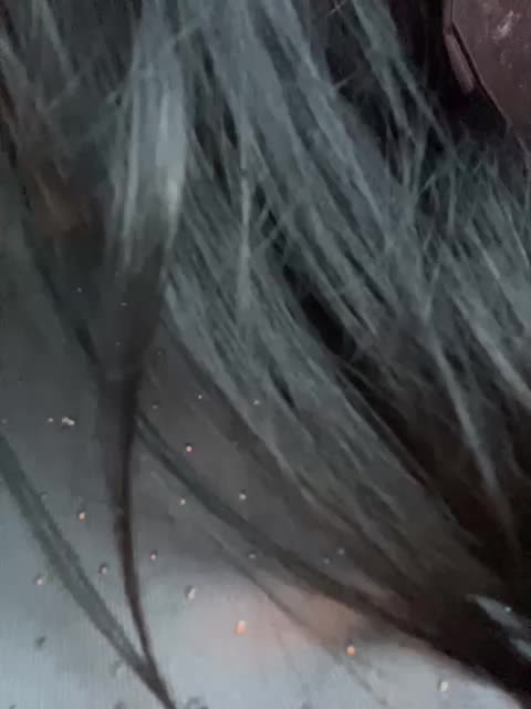 behardxxx Adult Chat August 19, 2025