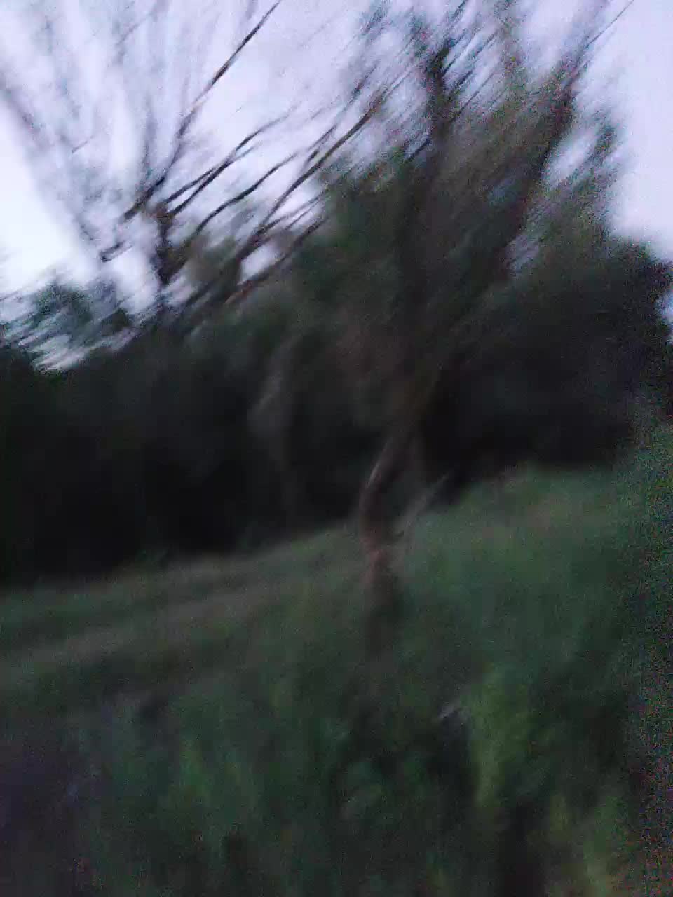 Lubovniki Adult Chat August 19, 2025