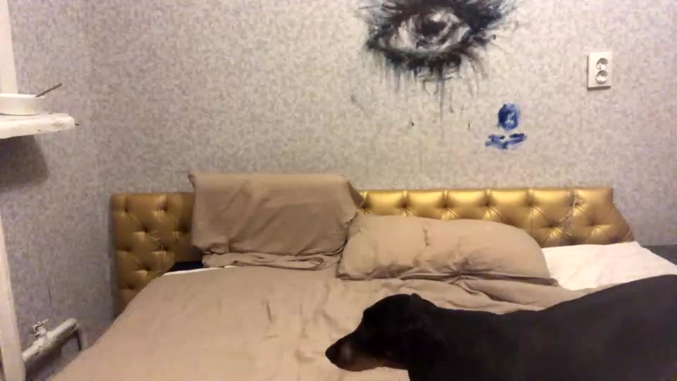 shyredstar Adult Chat August 18, 2025