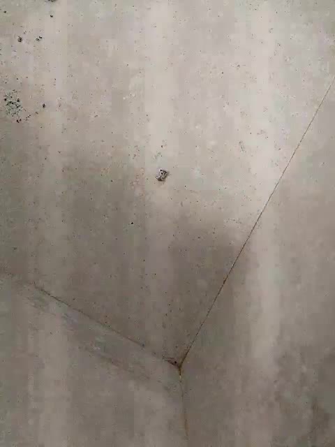 Paradise_1 Adult Chat August 19, 2025