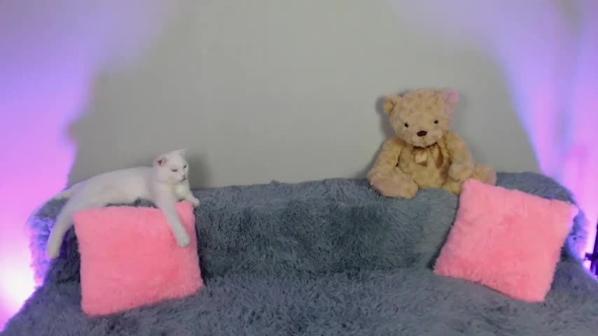 EvaBalmer Adult Chat August 19, 2025