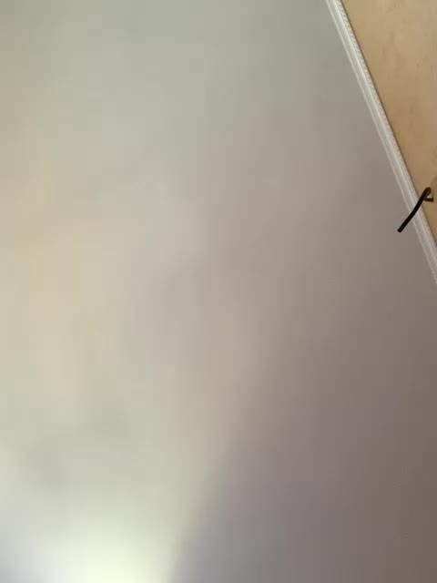 Ella-Pearlie Adult Chat August 19, 2025