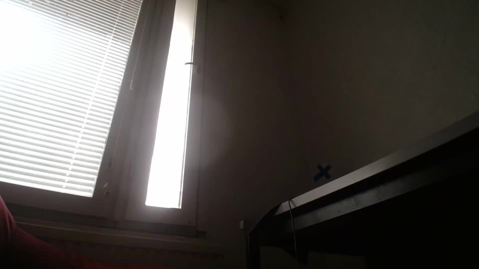 IrinaLitvinova Adult Chat August 19, 2025