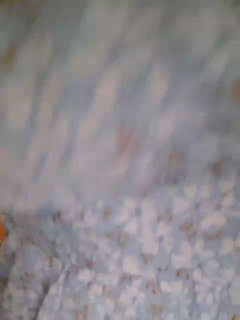 -Miila- Adult Chat August 19, 2025