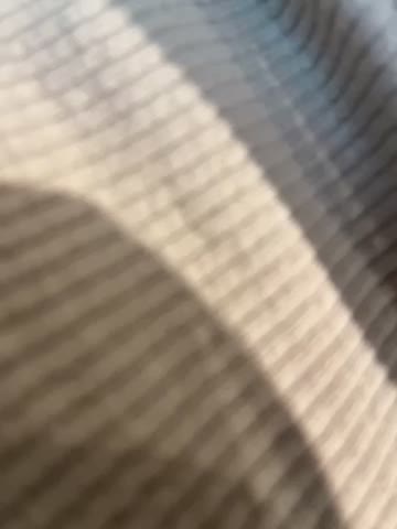 StephanieMur Adult Chat August 19, 2025