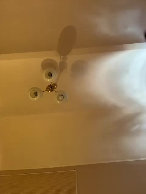 Wow-Eva Adult Chat August 20, 2025