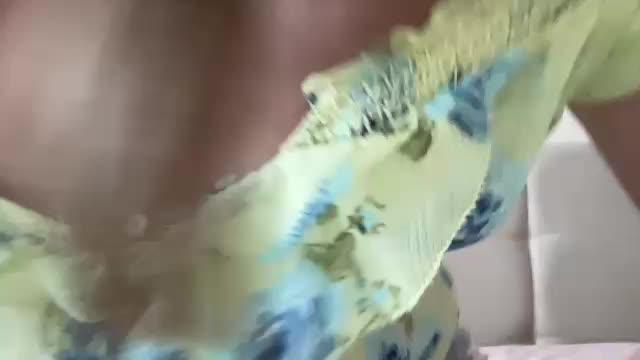 LizaFlower1 Adult Chat August 20, 2025