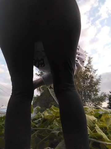 Lanusik88 Adult Chat August 20, 2025