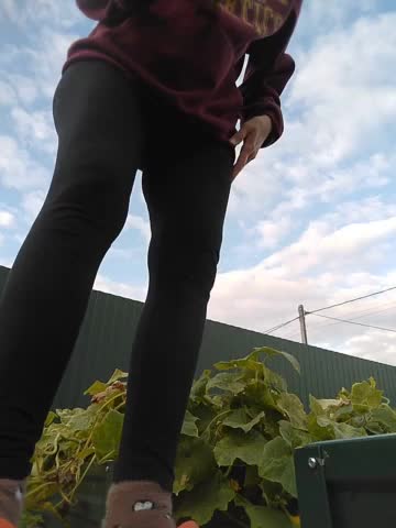 Lanusik88 Adult Chat August 20, 2025