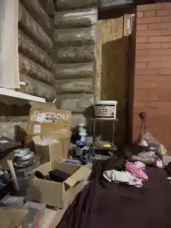 Panther_0888 Adult Chat August 20, 2025