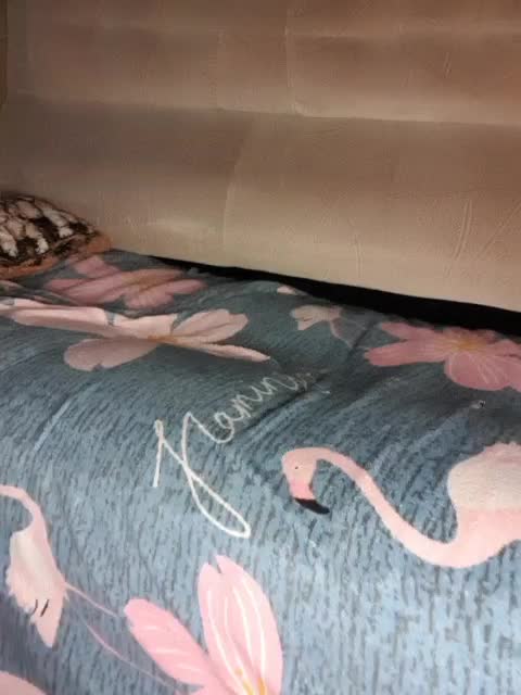 GospohaXXX Adult Chat August 20, 2025