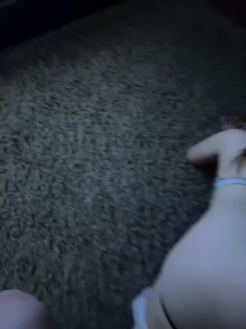 Sexy_twist Adult Chat August 20, 2025