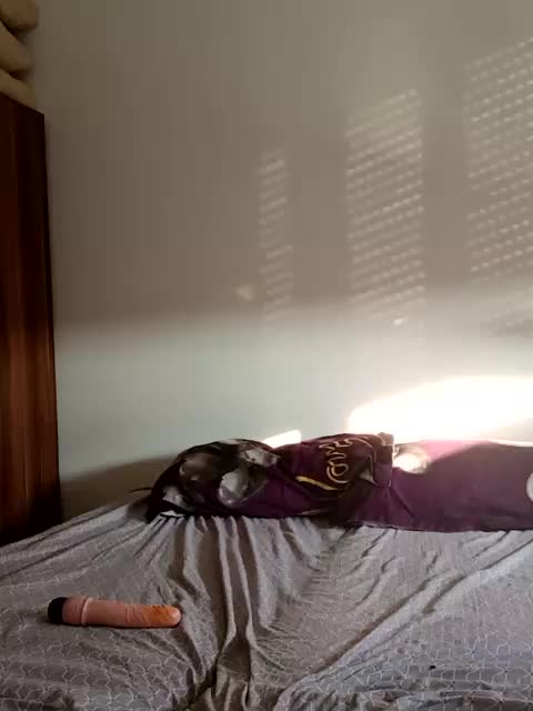 milf44milf Adult Chat August 20, 2025