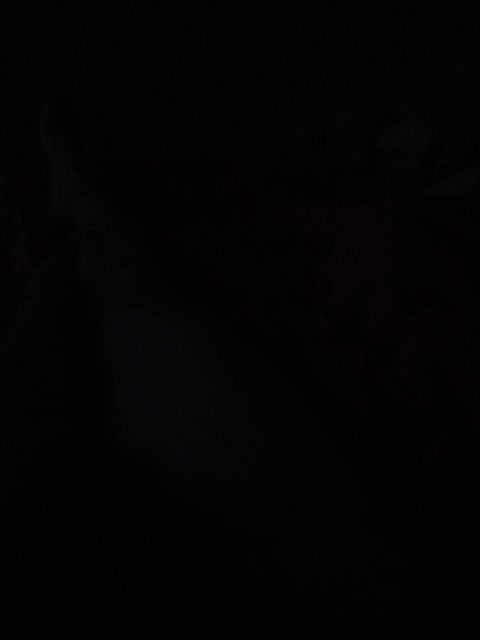 ParaParampam93 Adult Chat August 20, 2025