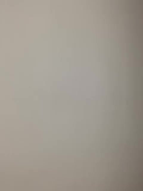 -Nezukoo- Adult Chat August 20, 2025