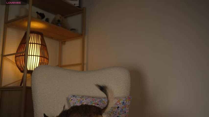 HelloHodge Adult Chat August 20, 2025