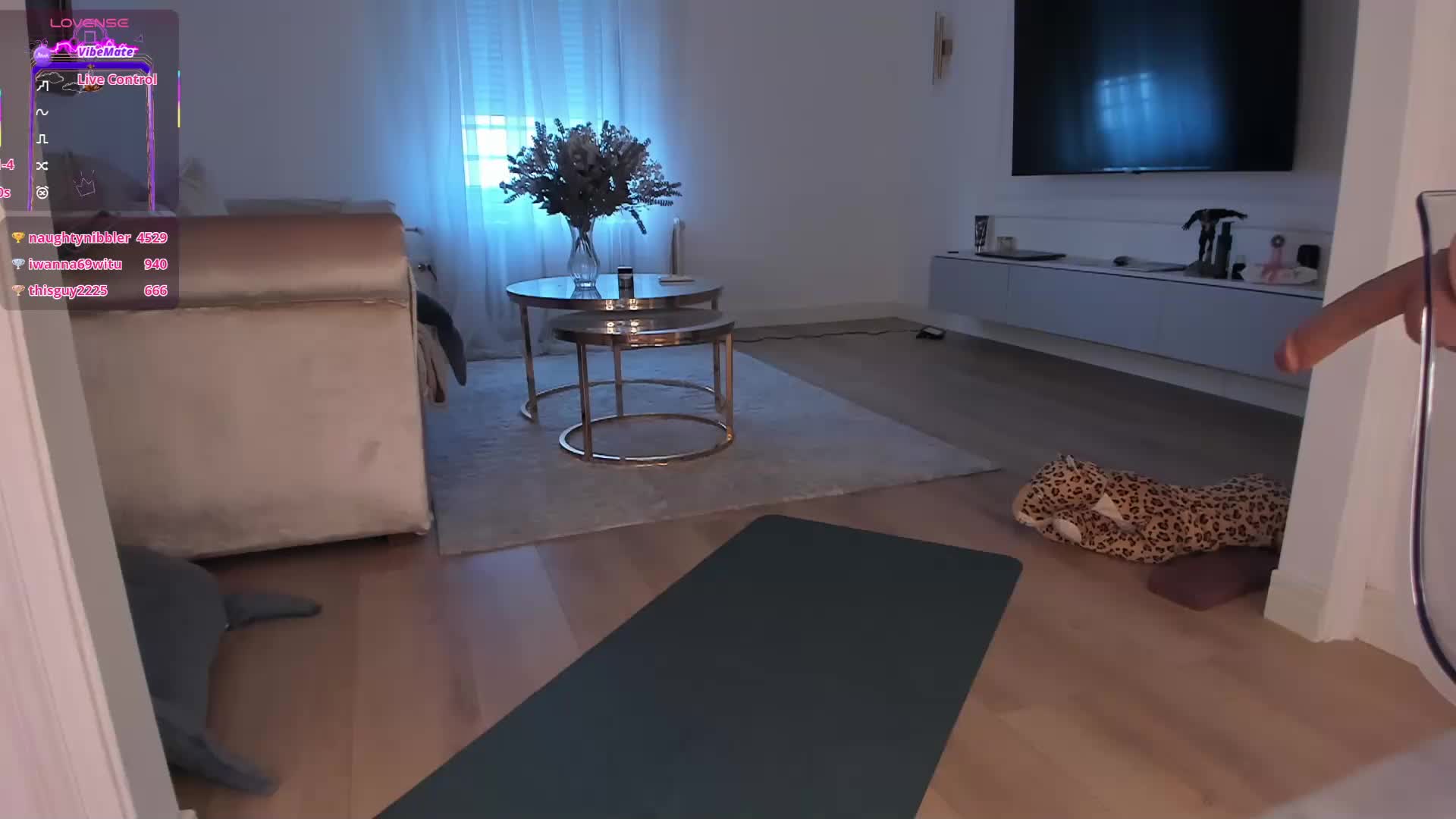 seilyfox Adult Chat August 20, 2025