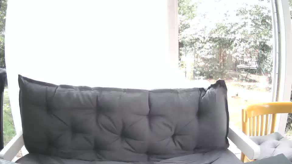 woodwurm Adult Chat August 20, 2025