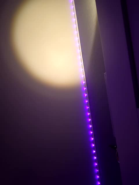 LolaAlex Adult Chat August 20, 2025