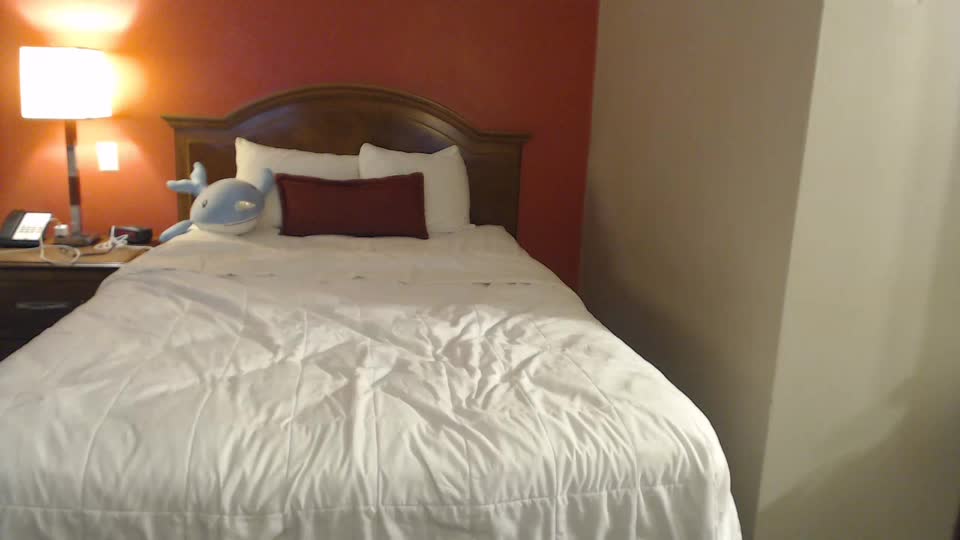 jadelondonxo Adult Chat August 20, 2025