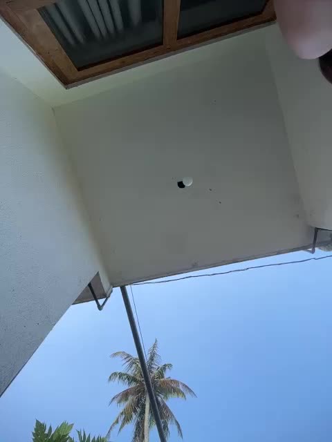 PsiXeya Adult Chat August 20, 2025