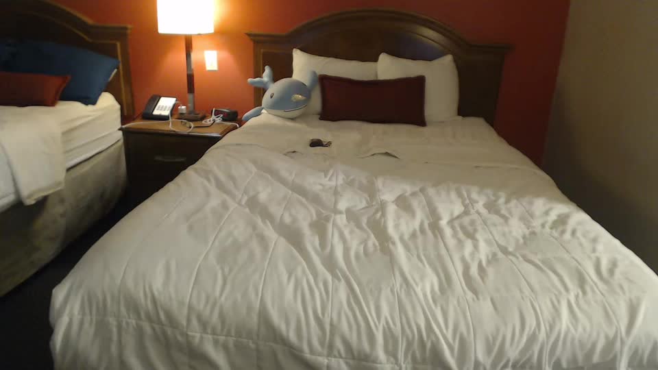 jadelondonxo Adult Chat August 20, 2025