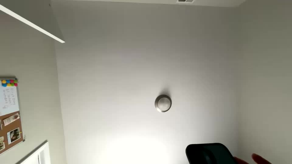 zoel87 Adult Chat August 20, 2025