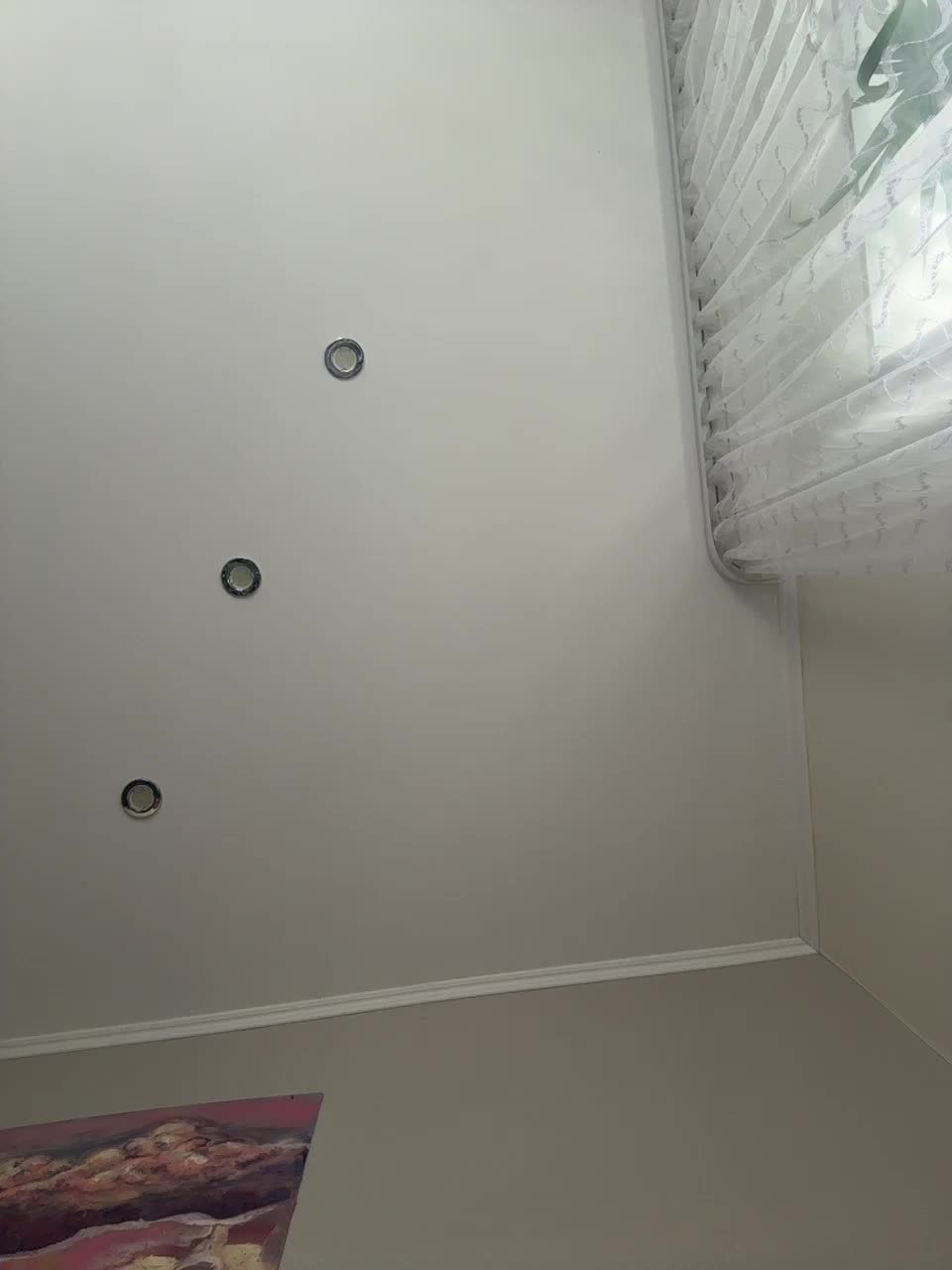 pizzahott Adult Chat August 20, 2025