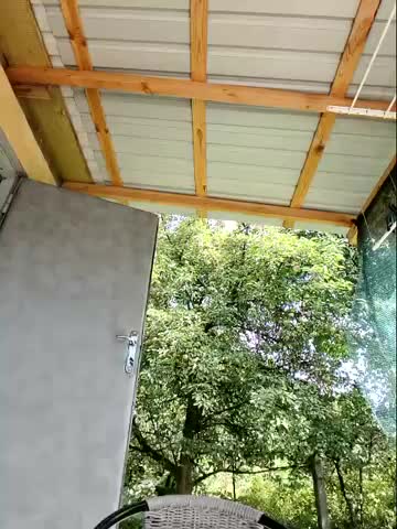 LitisiaLove4551 Adult Chat August 20, 2025