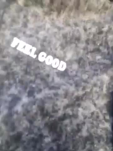 Bella_Gloria Adult Chat August 20, 2025