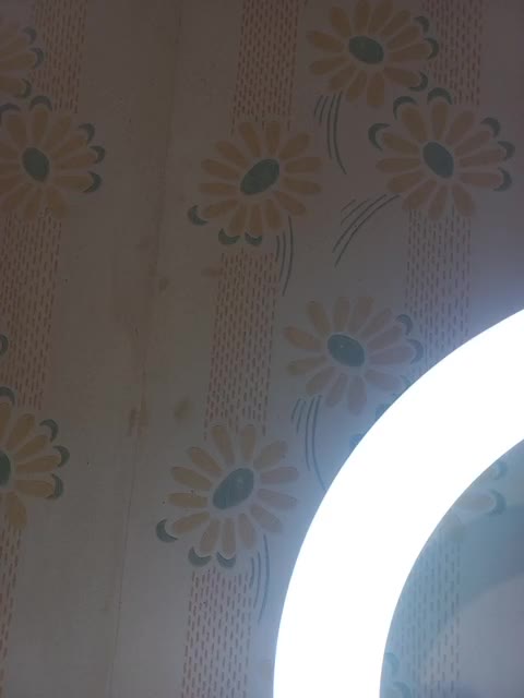 VselenaSun402 Adult Chat August 21, 2025