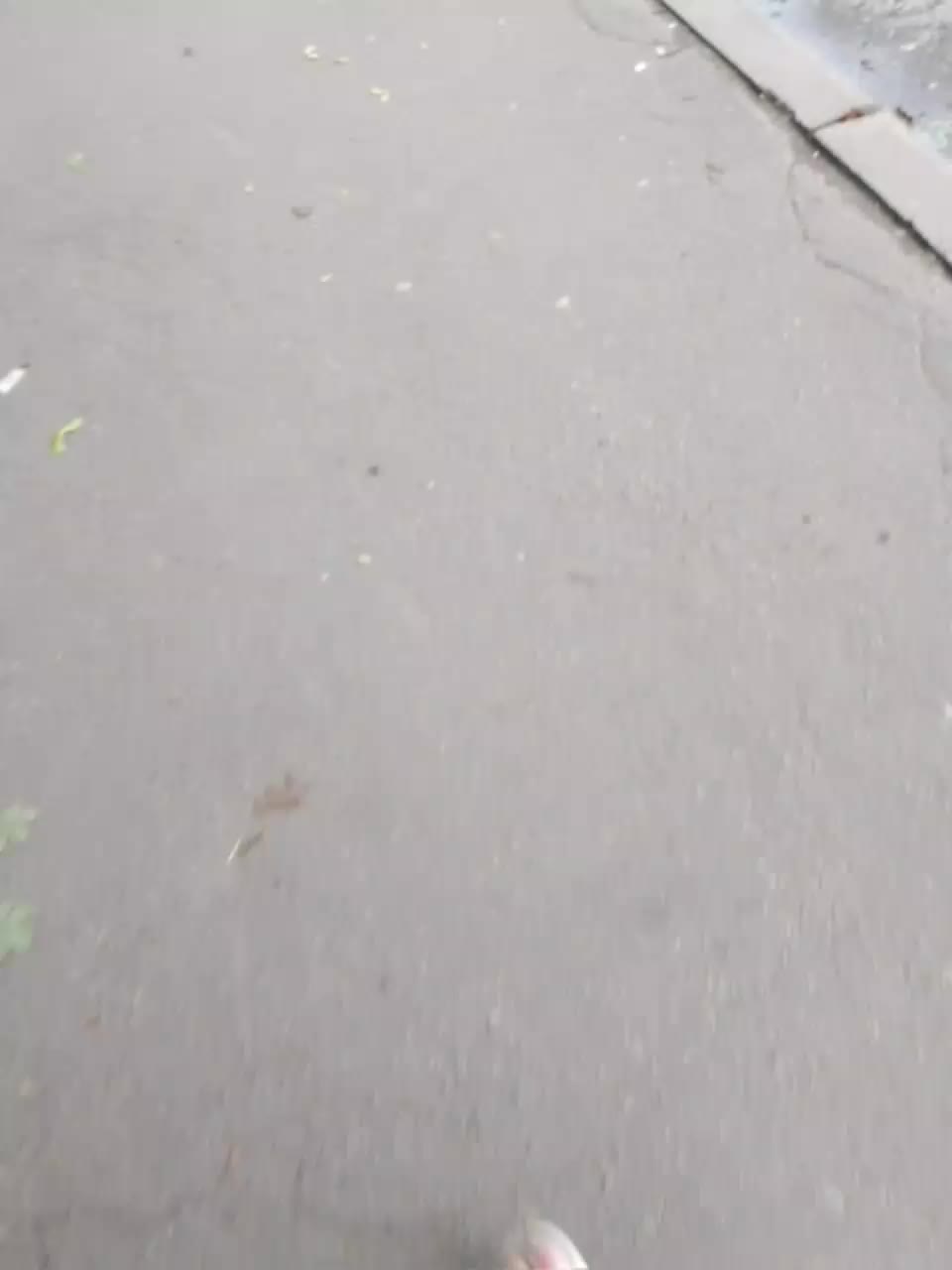 EVIL_TITS Adult Chat August 21, 2025