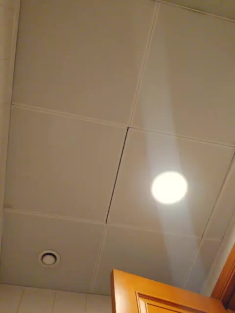 missionpossible Adult Chat August 21, 2025