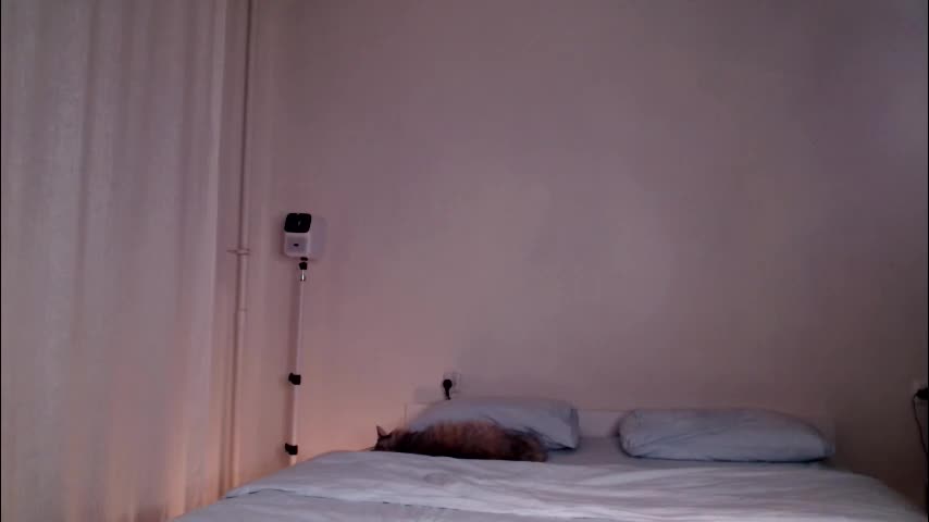 milky__way_ Adult Chat August 21, 2025