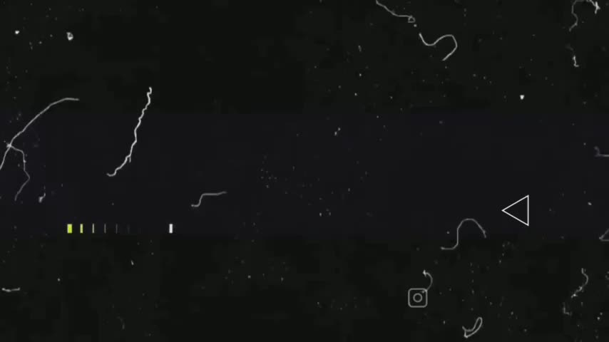 VivianBC Adult Chat August 21, 2025