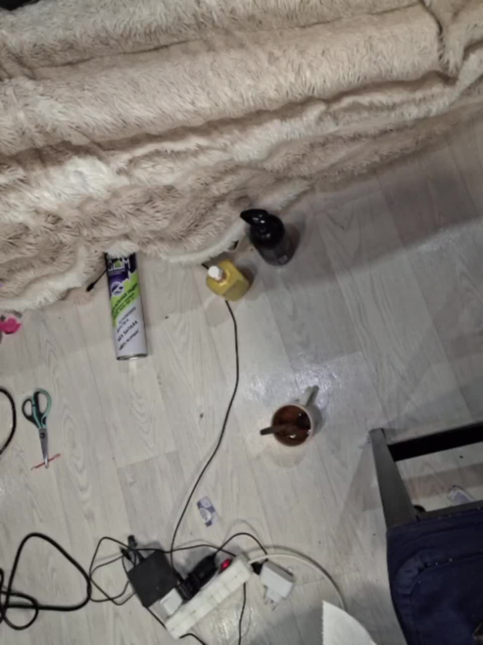 -scyrim- Adult Chat August 21, 2025