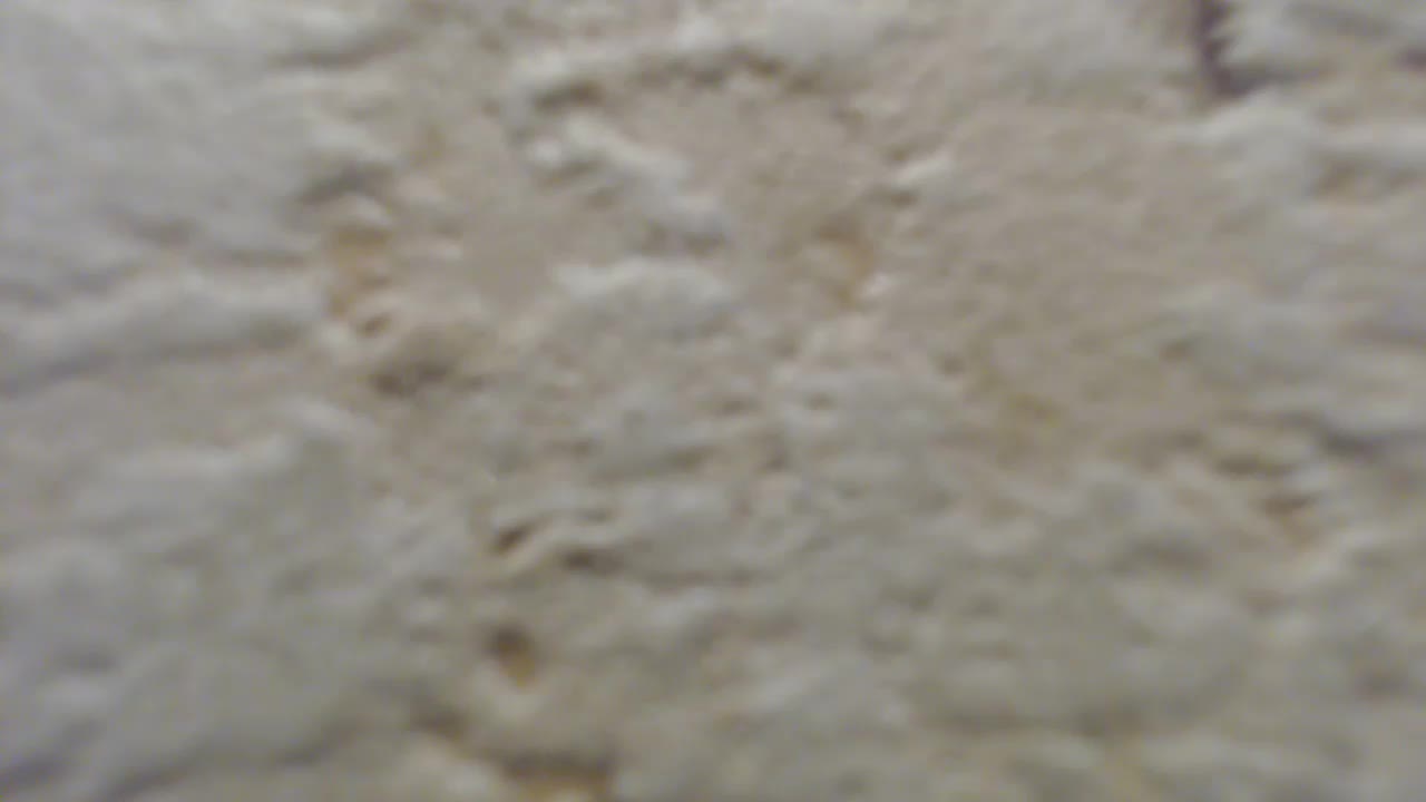 moxxito Adult Chat August 21, 2025