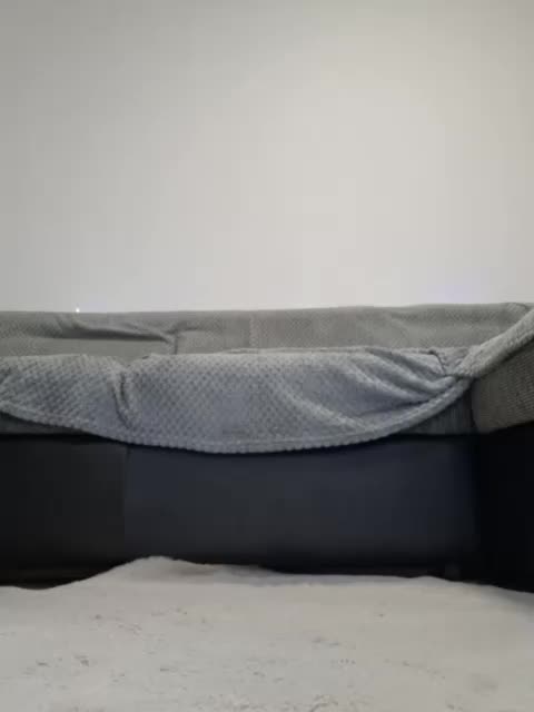 Violasweety Adult Chat August 20, 2025