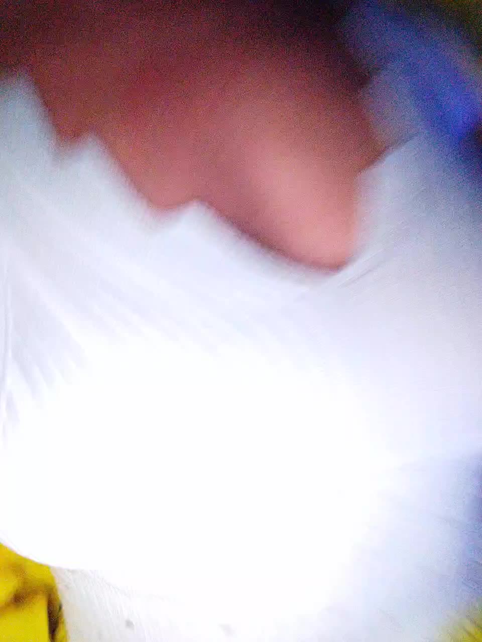 Blondi_Love Adult Chat August 20, 2025