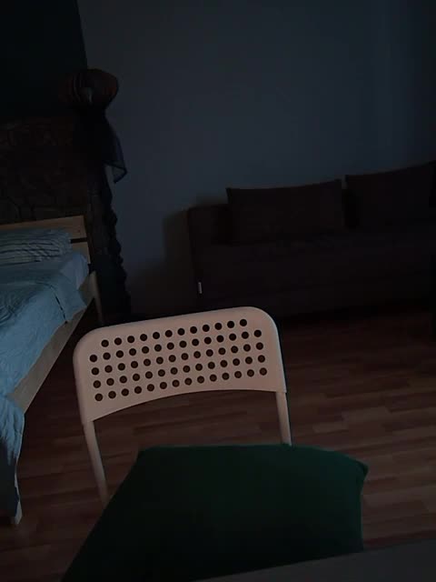 Brunetochkaaa Adult Chat August 21, 2025