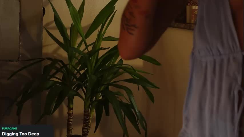 9calliope Adult Chat August 22, 2025