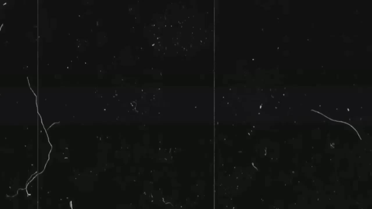 -Vivian- Adult Chat August 21, 2025