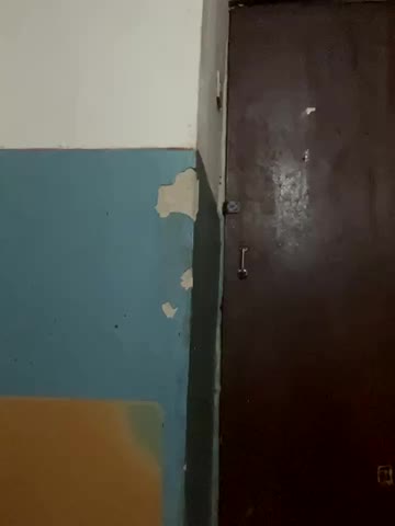 _Molly-Mae_ Adult Chat August 22, 2025